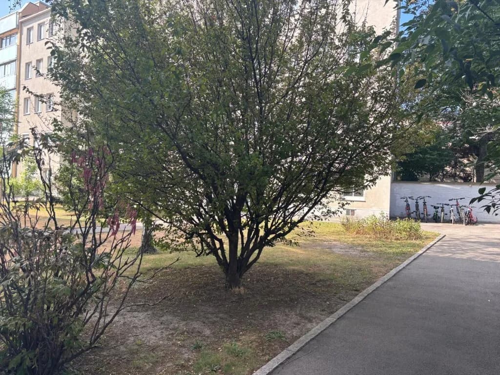 2-Zimmer-Wohnung mieten in Wien – 60 m², € 890 – Bild 14 von 15