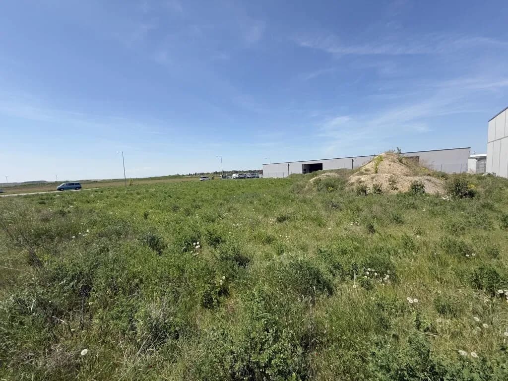Immobilie mieten in Gänserndorf – 3 000 m², € 3.000 – Bild 3 von 14