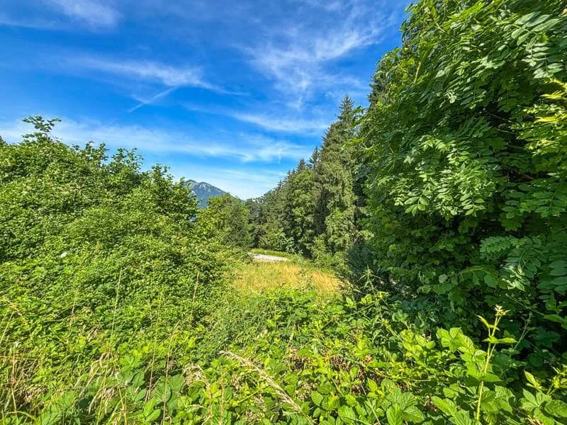Grundstück kaufen in Gmunden – 1 138 m², € 990.000 – Bild 5 von 7