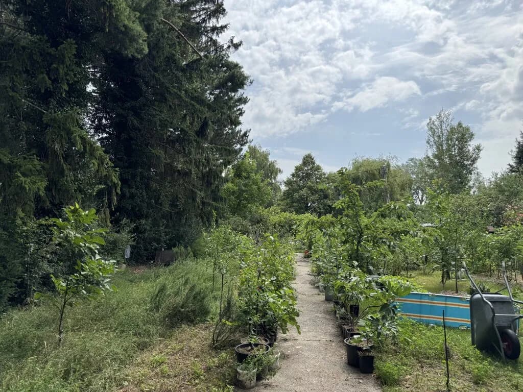 Grundstück kaufen in Wien – 844 m², € 719.000 – Bild 12 von 14