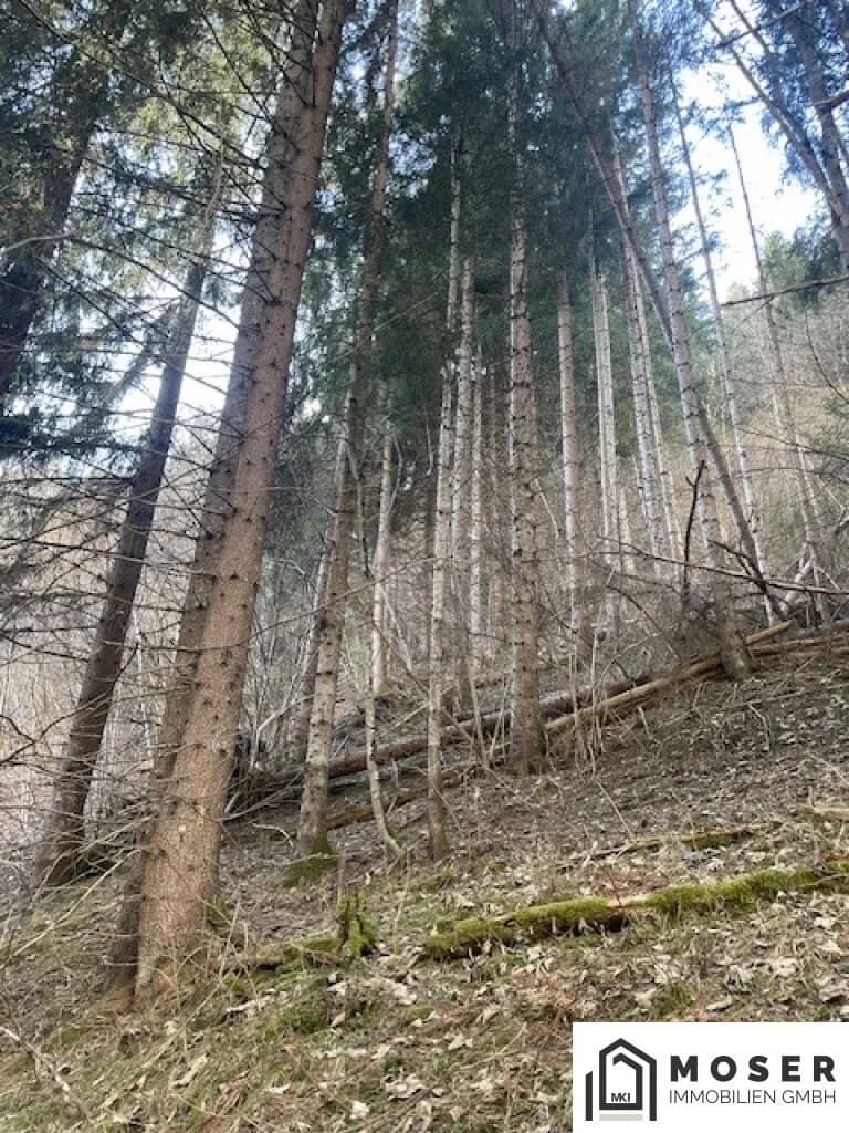 Immobilie kaufen in Murau – Bild 2 von 18