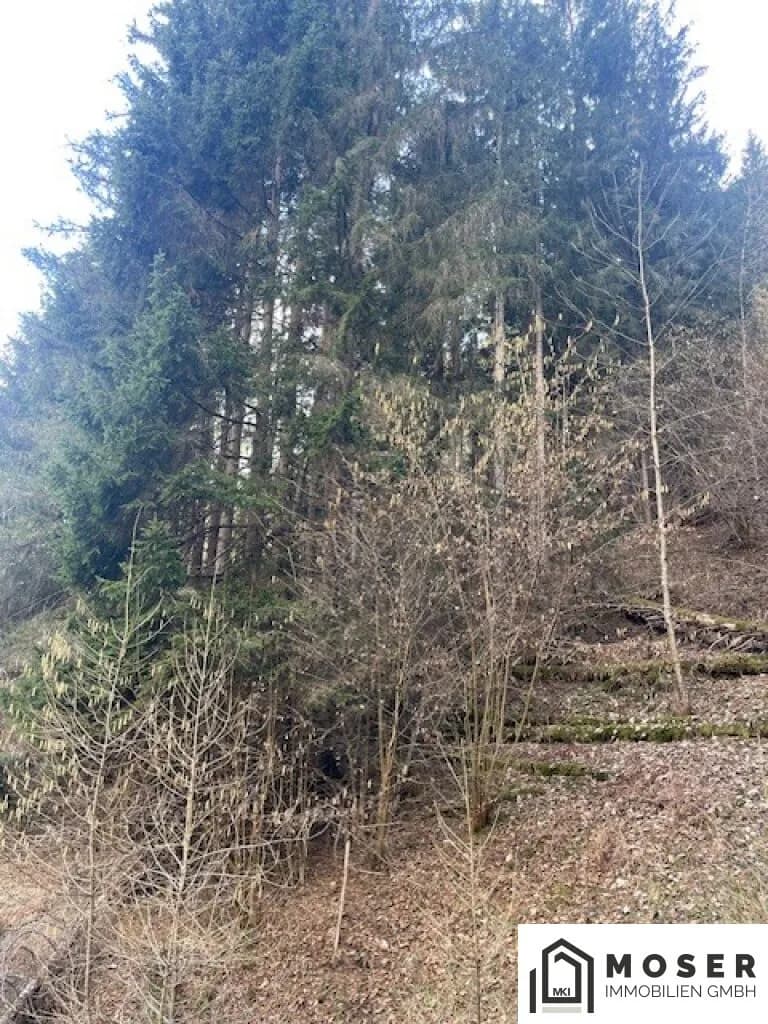 Immobilie kaufen in Murau – Bild 3 von 18