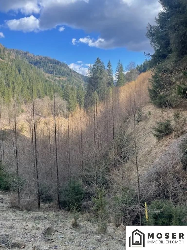 Immobilie kaufen in Murau – Bild 4 von 18