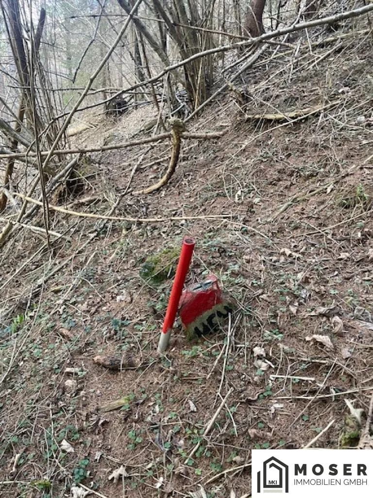 Immobilie kaufen in Murau – Bild 5 von 18