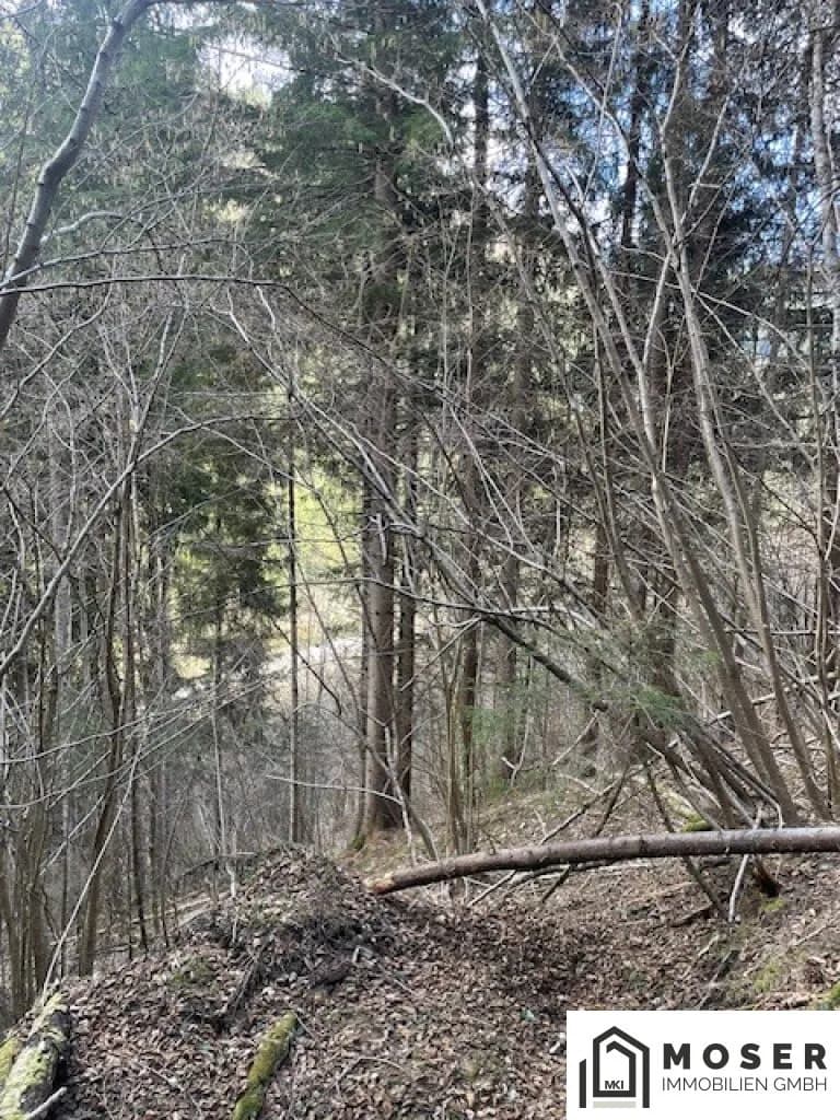 Immobilie kaufen in Murau – Bild 6 von 18