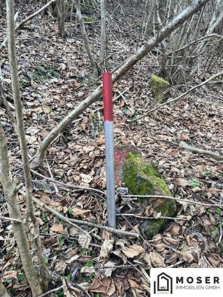 Immobilie kaufen in Murau – Bild 9 von 18