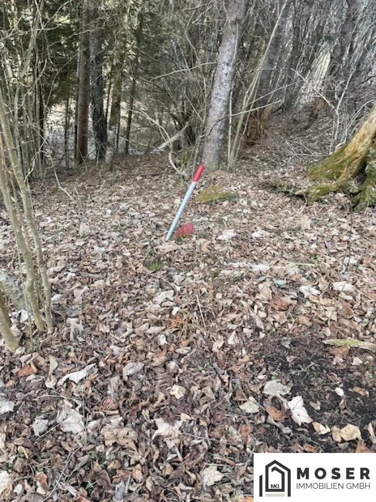 Immobilie kaufen in Murau – Bild 10 von 18