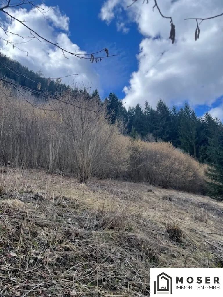Immobilie kaufen in Murau – Bild 12 von 18