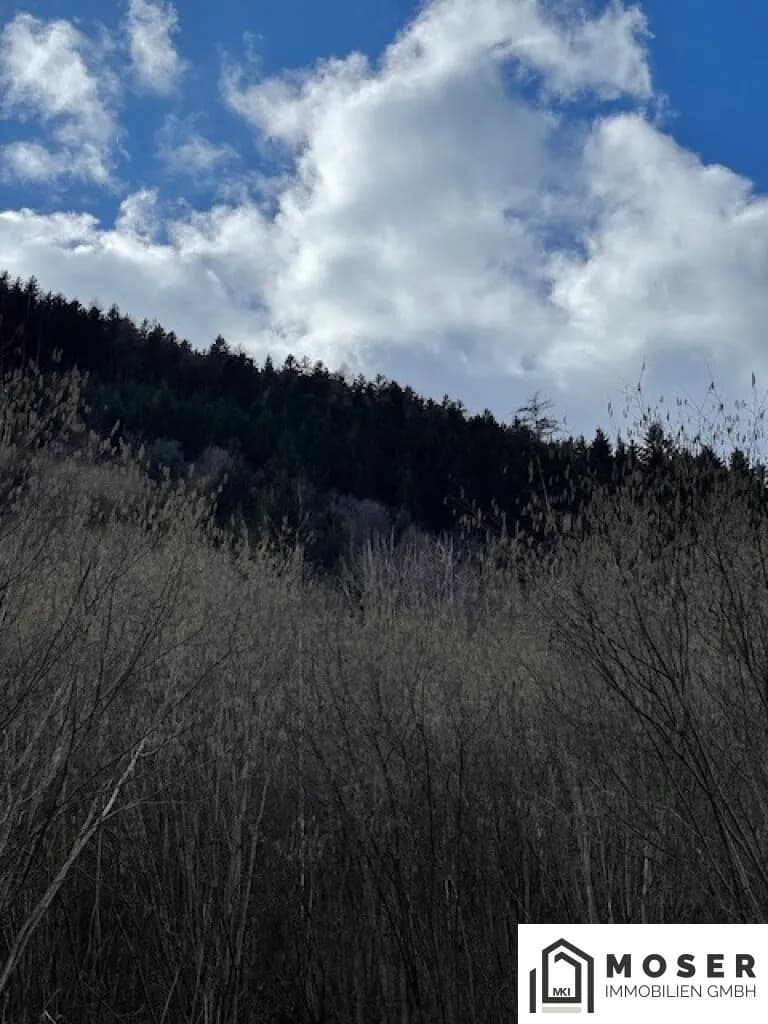 Immobilie kaufen in Murau – Bild 13 von 18