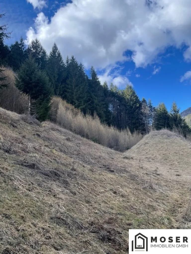 Immobilie kaufen in Murau – Bild 14 von 18