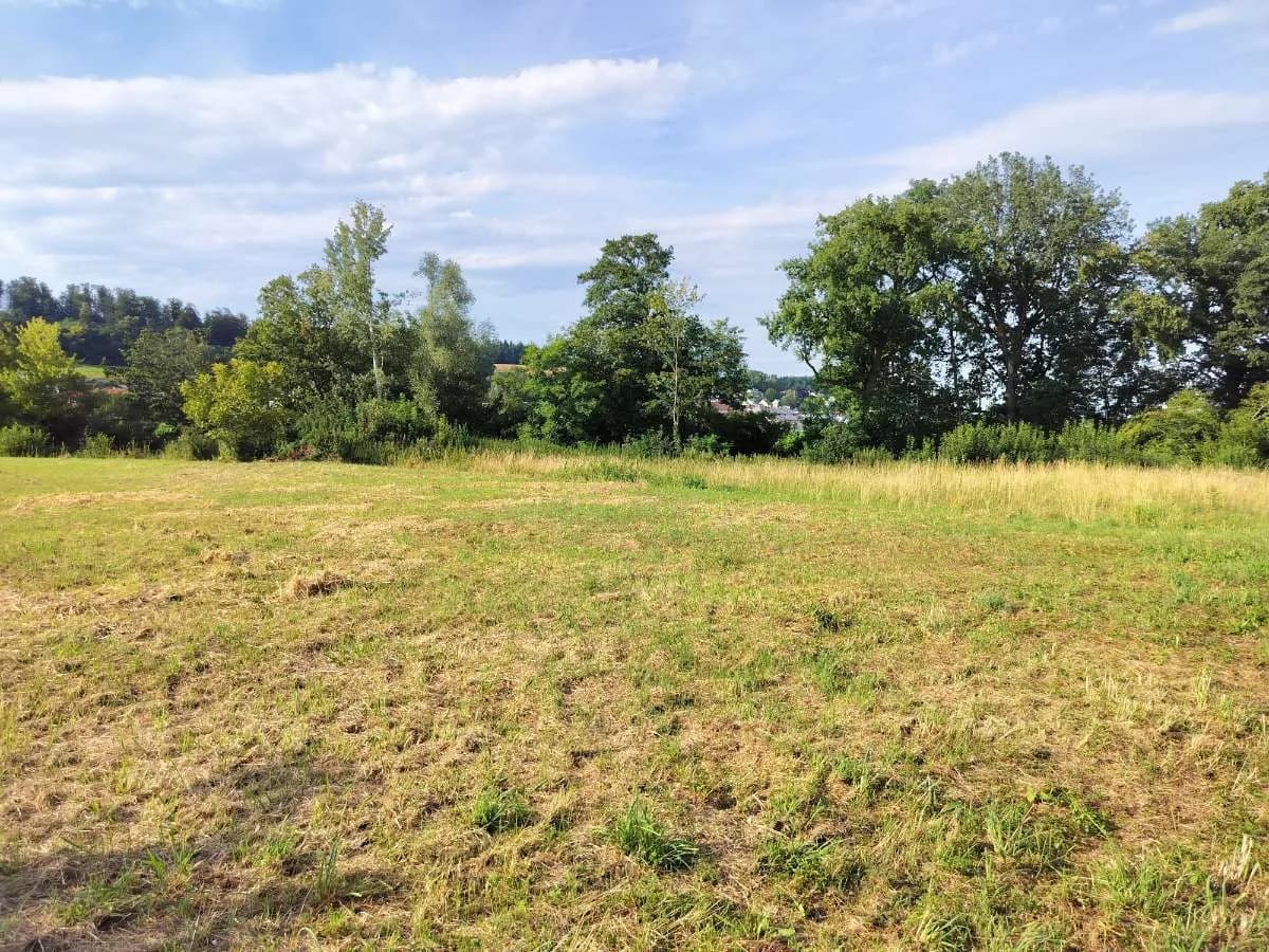 Grundstück kaufen in Linz Land – 1 071 m², € 535.500 – Bild 8 von 11