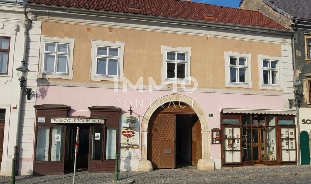 Immobilie kaufen in Krems Land – 300 m², € 830.000