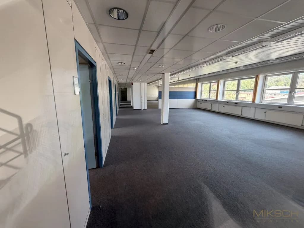 Gewerbeimmobilie mieten in Sankt Pölten – 2 670 m², € 10 – Bild 12 von 17