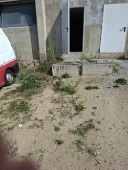 Immobilie mieten in Freistadt – 19 m², € 179 – Bild 2 von 4