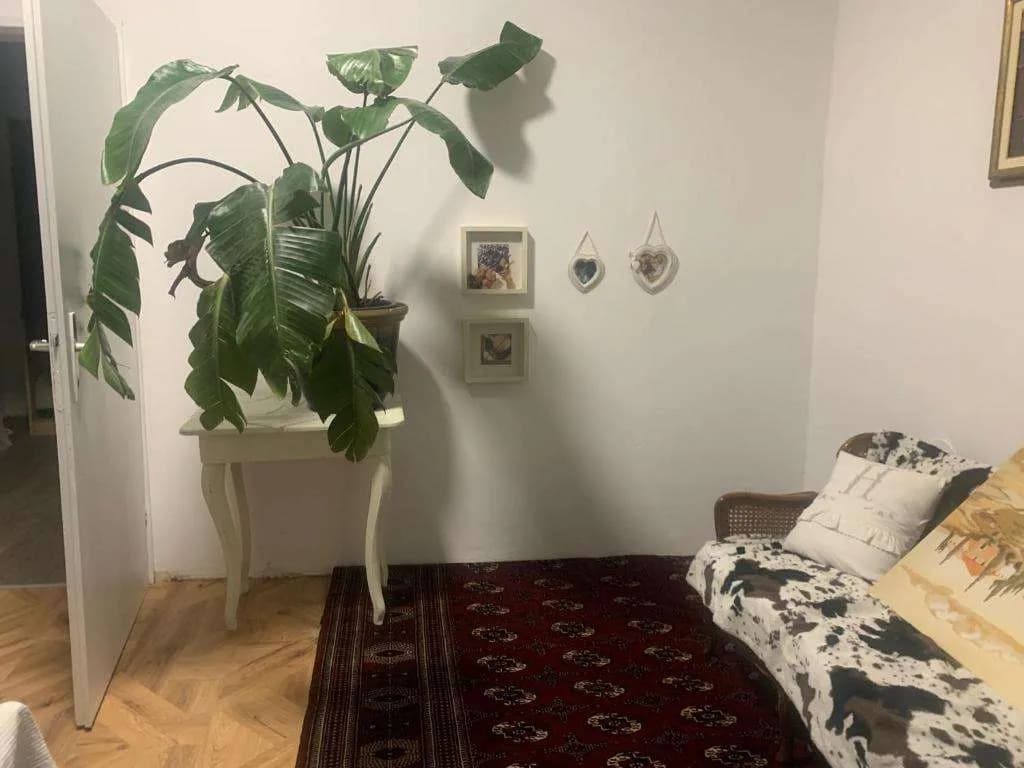 12-Zimmer-Gewerbeimmobilie kaufen in Amstetten – 250 m², € 465.000 – Bild 33 von 84