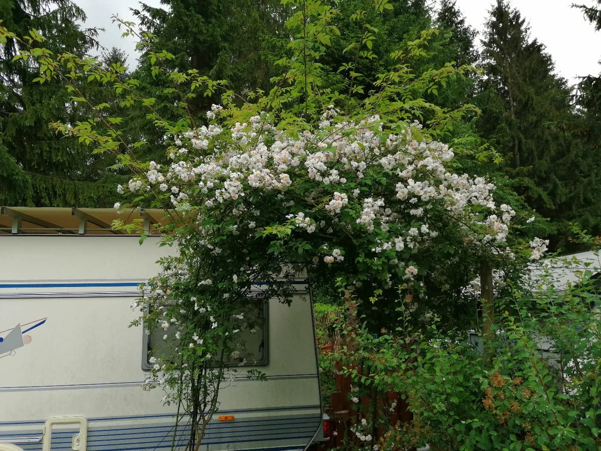 Immobilie kaufen in Lilienfeld – 26 m², € 7.900 – Bild 29 von 39