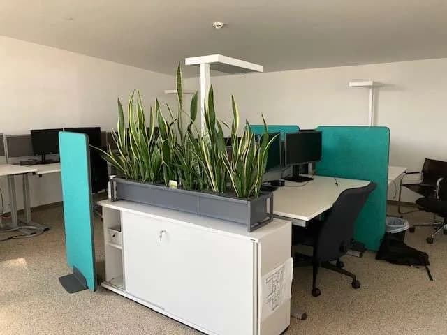 Gewerbeimmobilie mieten in Wien – 497 m², € 17 – Bild 12 von 17