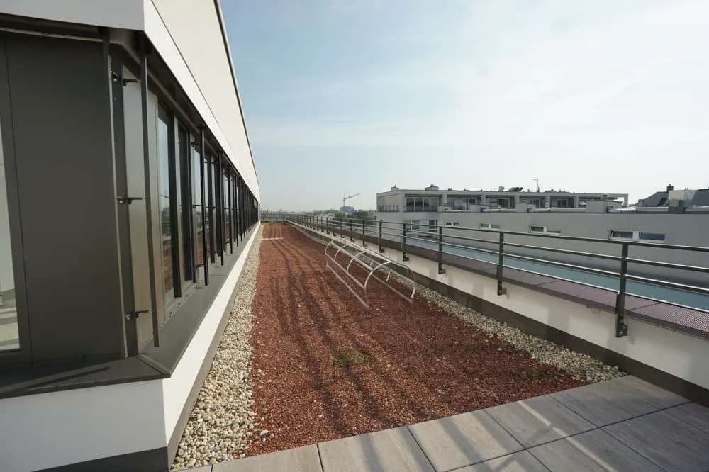 Gewerbeimmobilie mieten in Wien – 3 163 m² – Bild 11 von 17