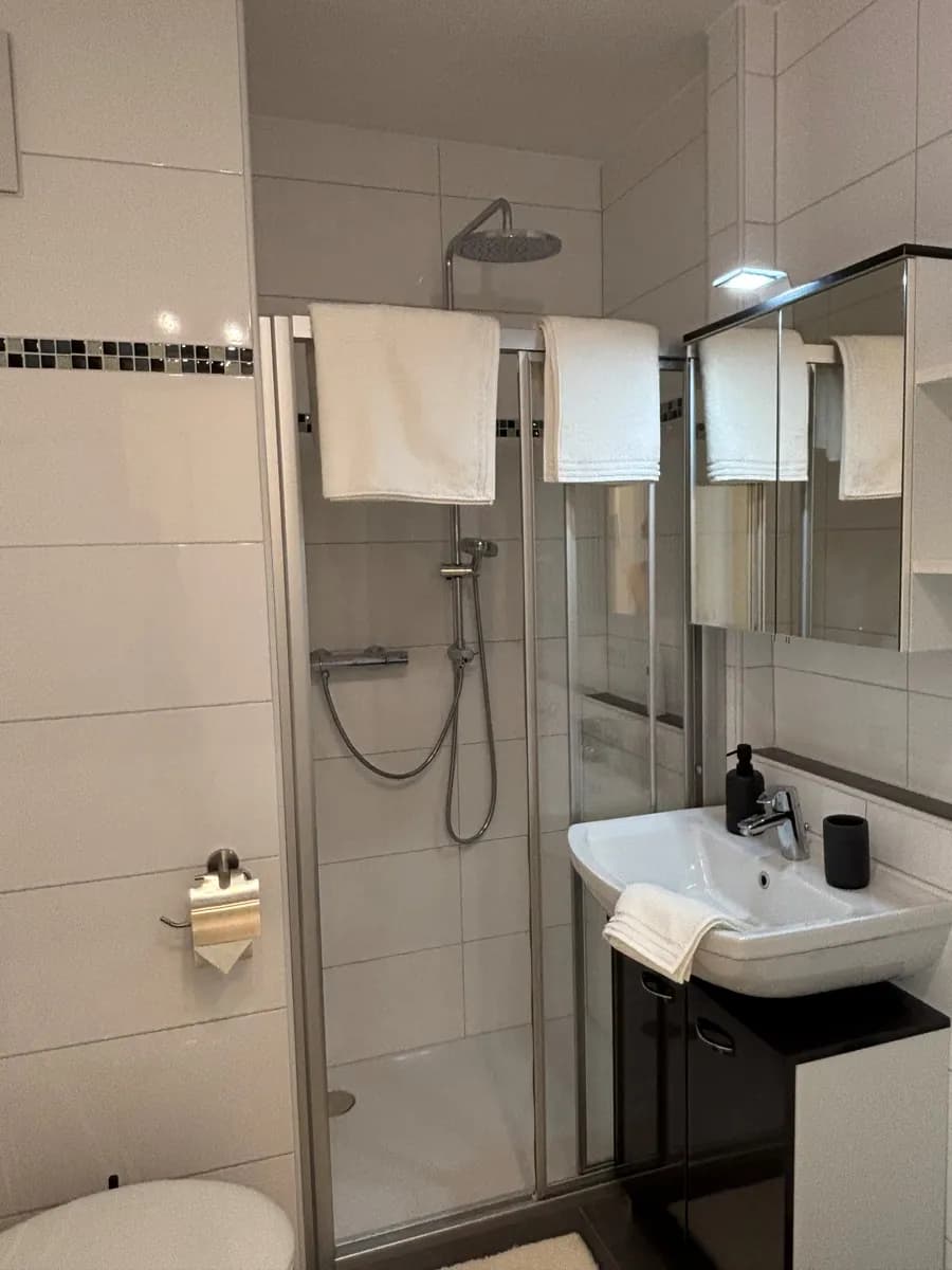 1-Zimmer-Wohnung mieten in Linz – 32 m², € 930 – Bild 4 von 9