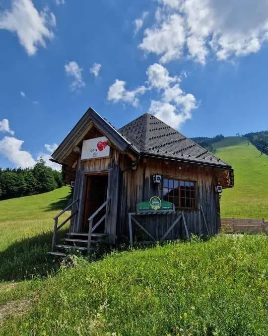 Immobilie mieten in Scheibbs – 40 m², € 825 – Bild 5 von 9