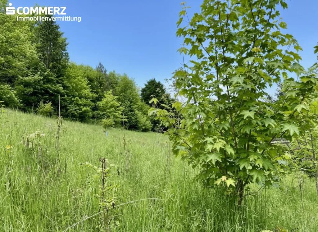 Grundstück kaufen in Neunkirchen – 2 342 m², € 99.000 – Bild 2 von 13
