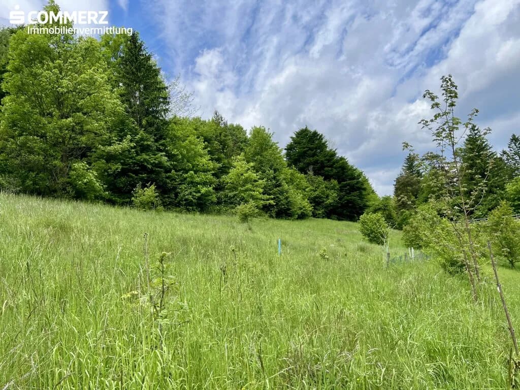 Grundstück kaufen in Neunkirchen – 2 342 m², € 99.000 – Bild 3 von 13