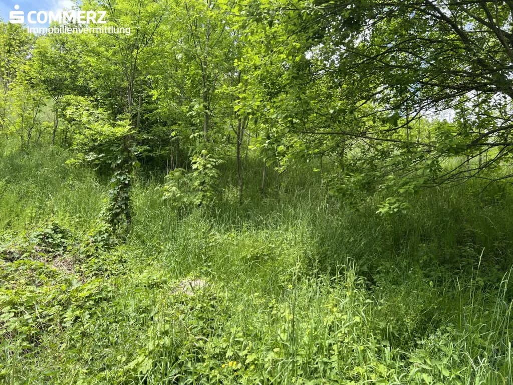 Grundstück kaufen in Neunkirchen – 2 342 m², € 99.000 – Bild 4 von 13
