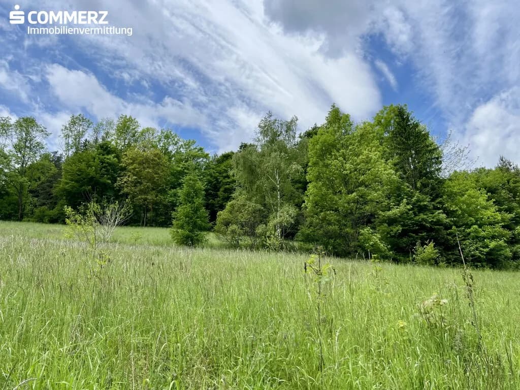 Grundstück kaufen in Neunkirchen – 2 342 m², € 99.000 – Bild 5 von 13