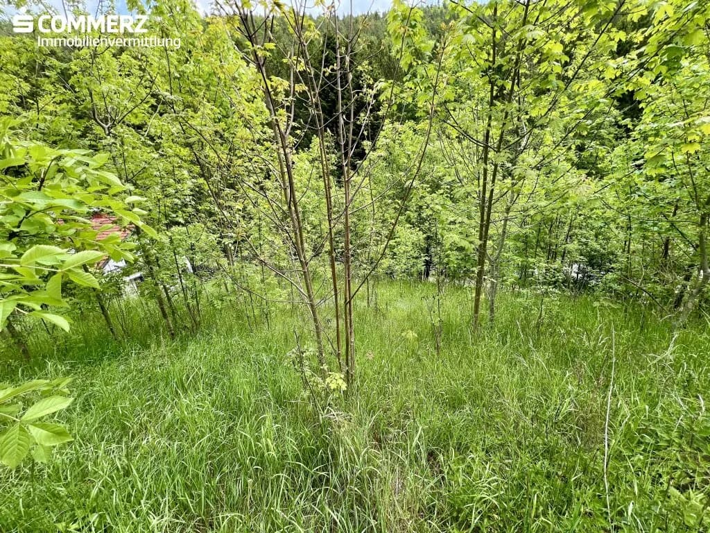 Grundstück kaufen in Neunkirchen – 2 342 m², € 99.000 – Bild 6 von 13