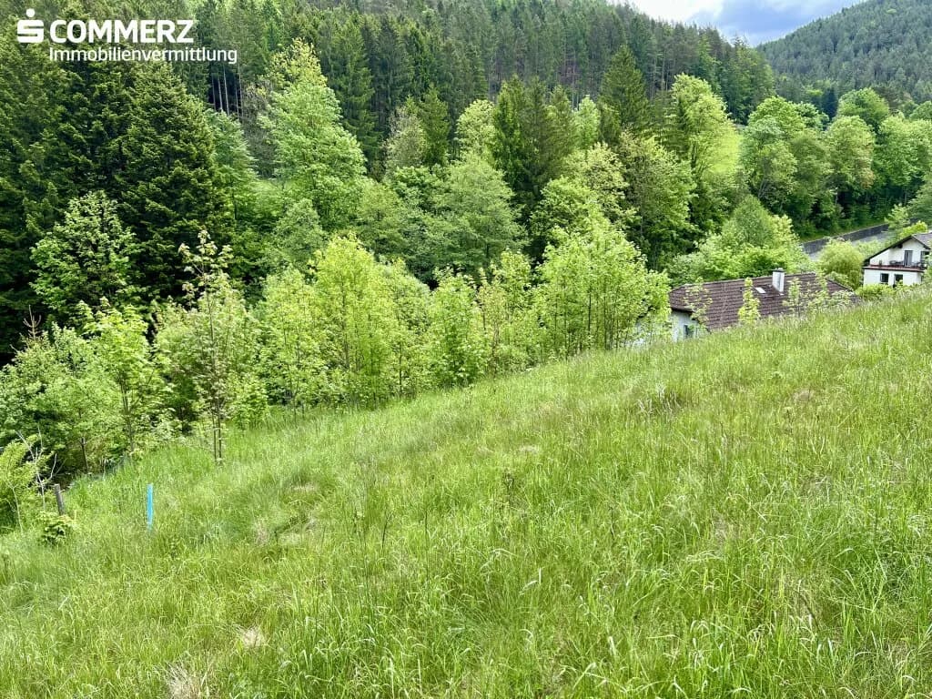 Grundstück kaufen in Neunkirchen – 2 342 m², € 99.000 – Bild 8 von 13