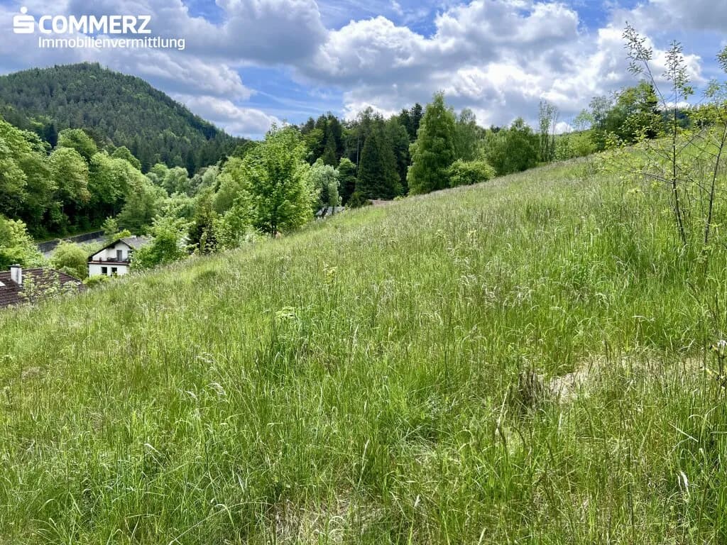 Grundstück kaufen in Neunkirchen – 2 342 m², € 99.000 – Bild 9 von 13