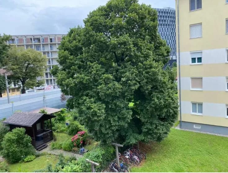 3-Zimmer-Wohnung kaufen in Graz – 75 m², € 212.000 – Bild 12 von 12