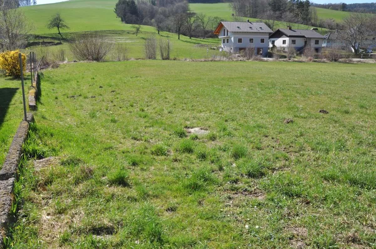Grundstück kaufen in Wiener Neustadt Land – 1 008 m², € 119.000 – Bild 2 von 4