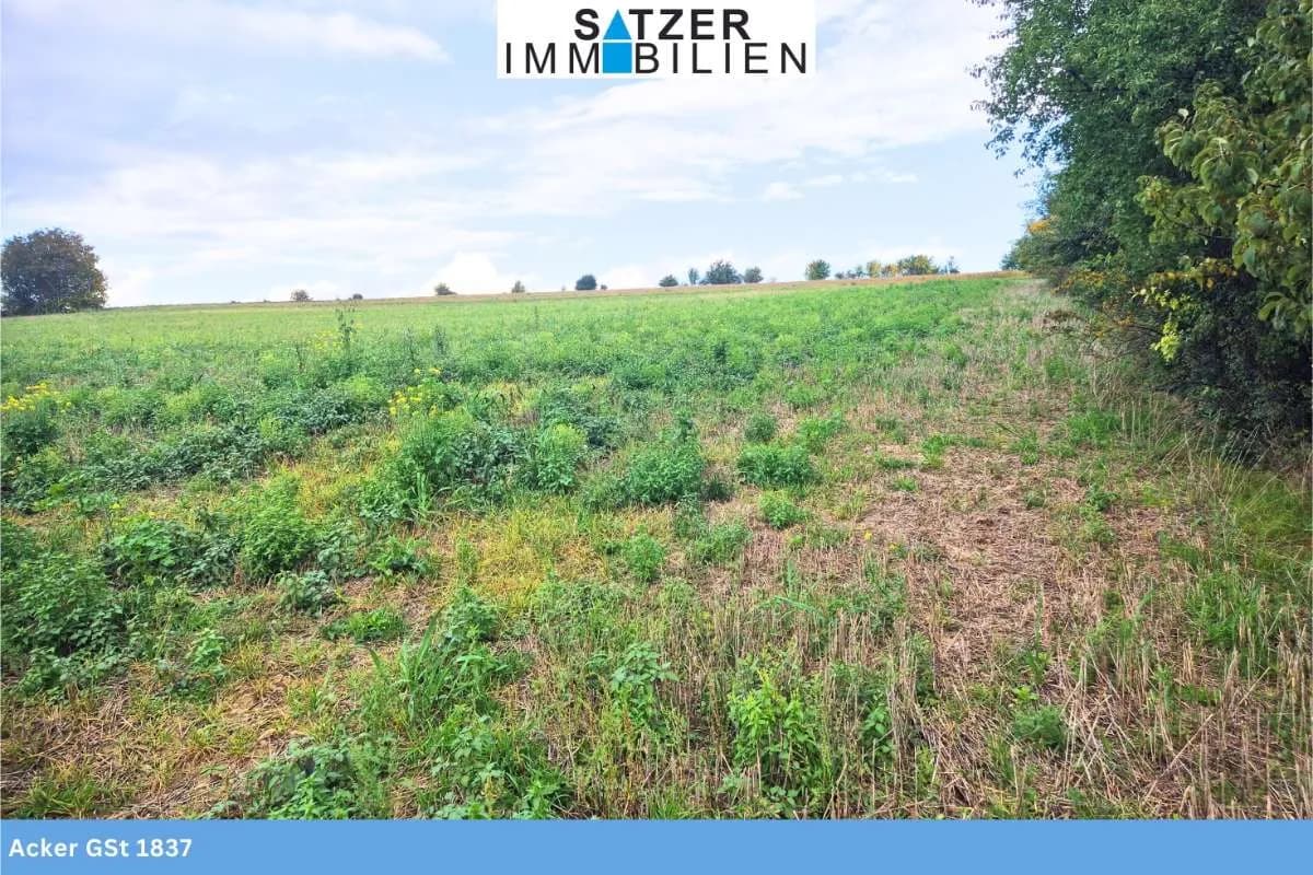 Grundstück kaufen in Mistelbach – 64 916 m², € 499.853