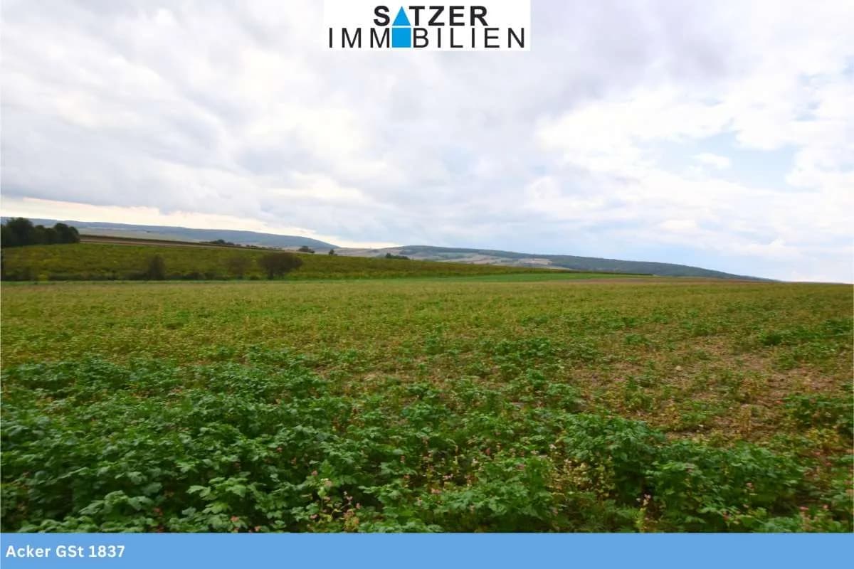 Grundstück kaufen in Mistelbach – 64 916 m², € 499.853 – Bild 2 von 8