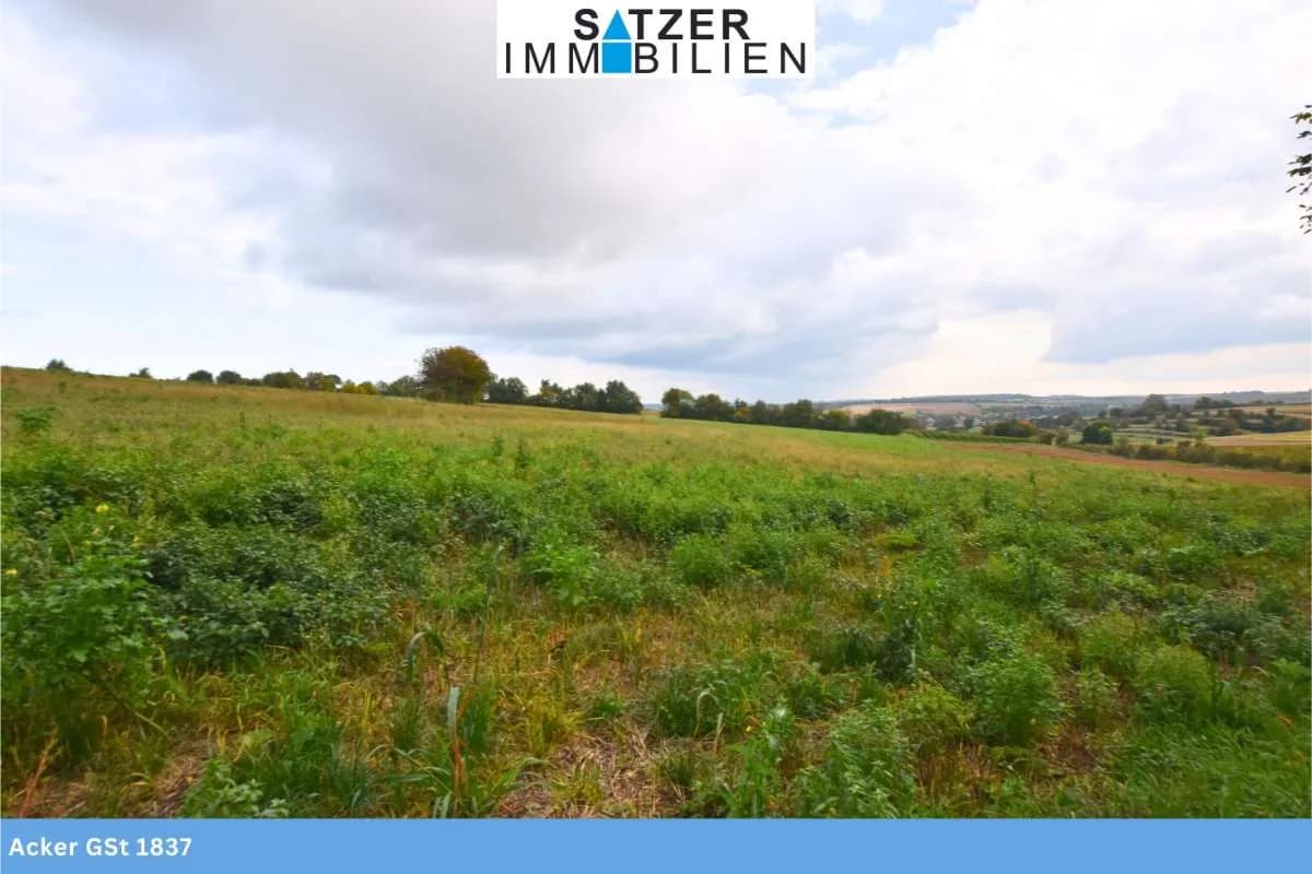 Grundstück kaufen in Mistelbach – 64 916 m², € 499.853 – Bild 3 von 8