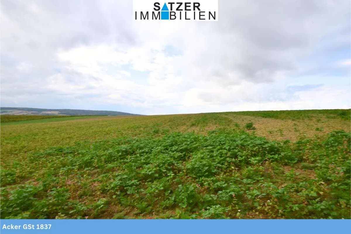 Grundstück kaufen in Mistelbach – 64 916 m², € 499.853 – Bild 4 von 8