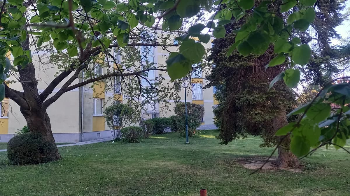 2-Zimmer-Wohnung mieten in Wiener Neustadt Land – 52 m², € 650 – Bild 16 von 23