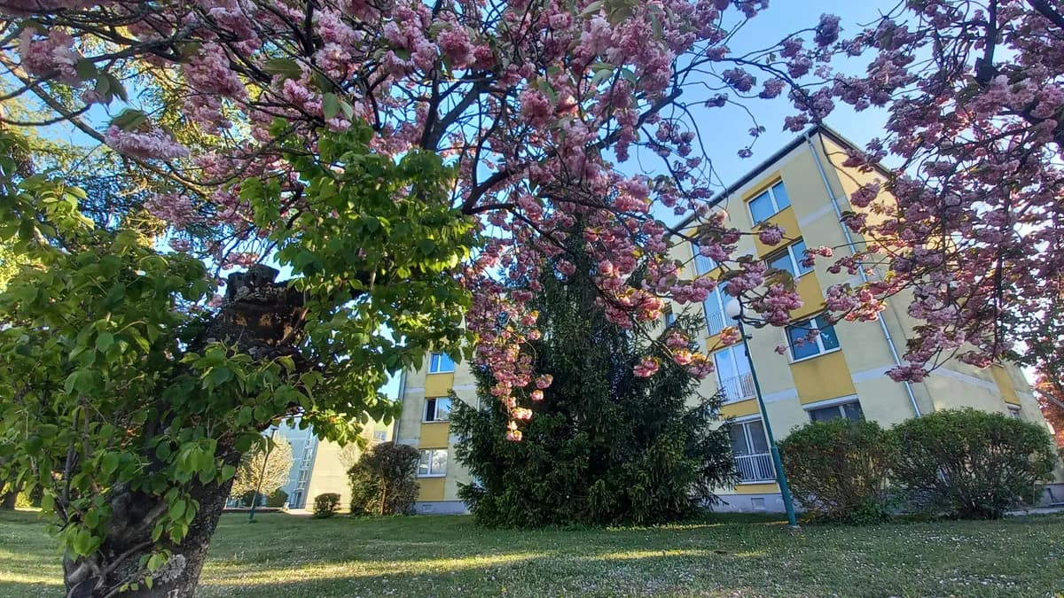 2-Zimmer-Wohnung mieten in Wiener Neustadt Land – 52 m², € 650 – Bild 17 von 23