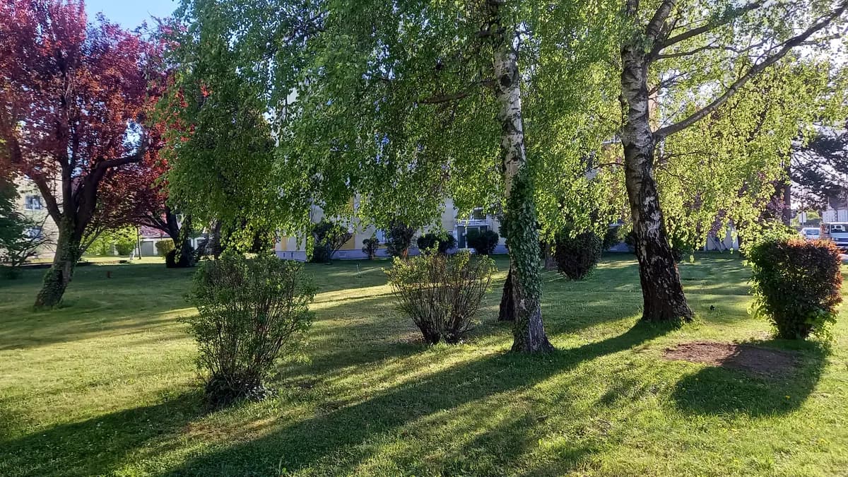 2-Zimmer-Wohnung mieten in Wiener Neustadt Land – 52 m², € 650 – Bild 18 von 23