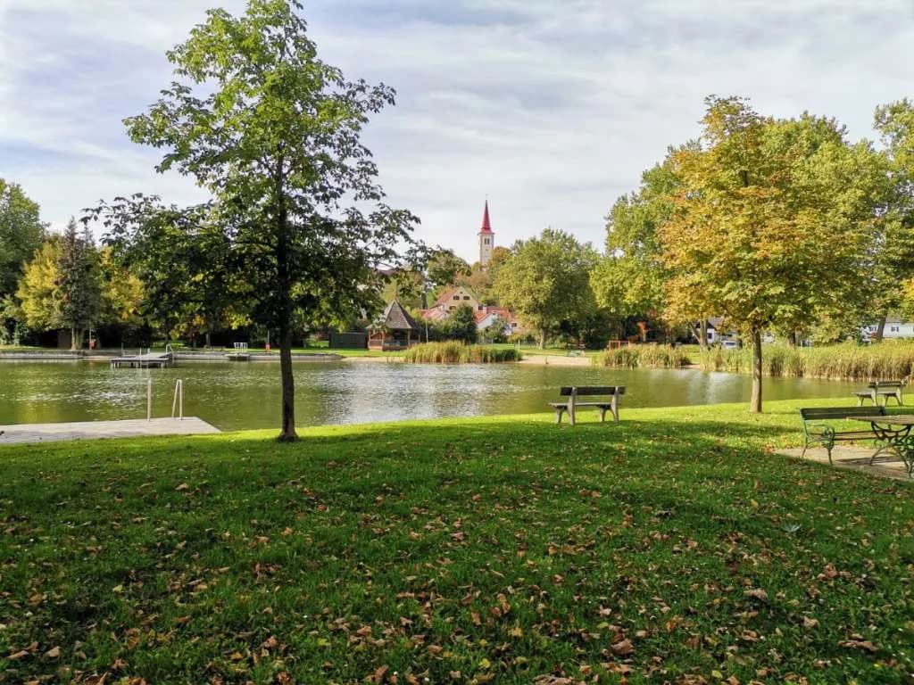 Grundstück kaufen in Hartberg-Fürstenfeld – 2 380 m², € 169.900 – Bild 4 von 6