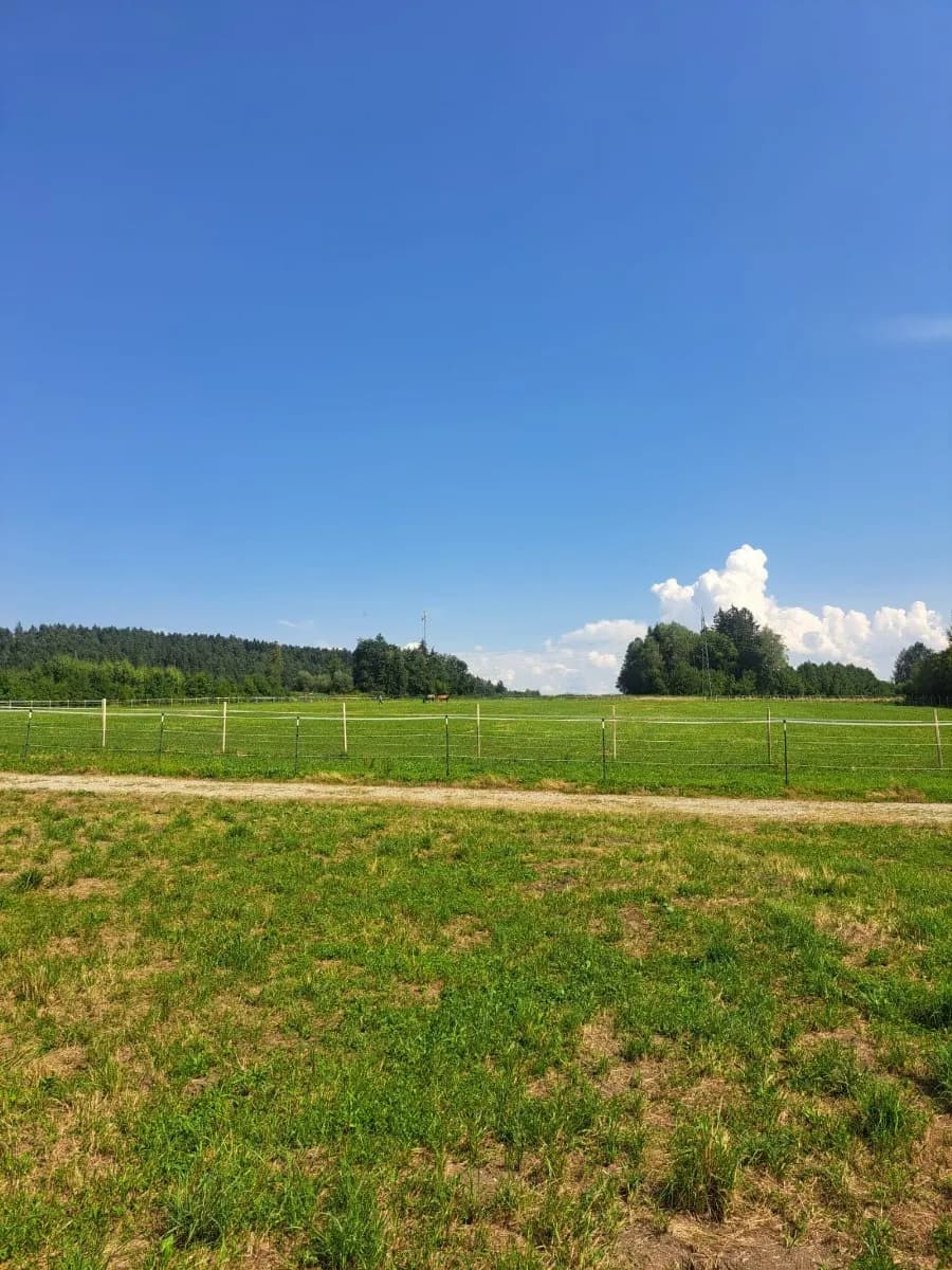 Grundstück kaufen in Klagenfurt Land – 900 m², € 89.980 – Bild 3 von 5
