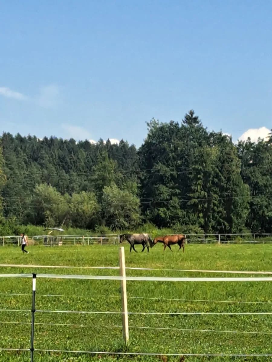 Grundstück kaufen in Klagenfurt Land – 900 m², € 89.980 – Bild 4 von 5
