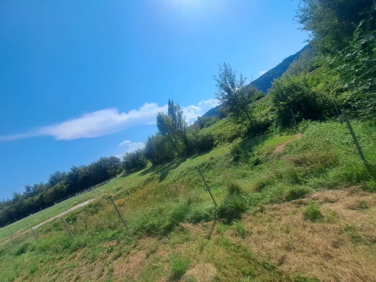 Grundstück kaufen in Klagenfurt Land – 900 m², € 89.980 – Bild 5 von 5
