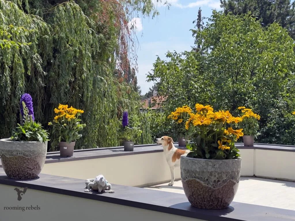 Immobilie kaufen in Wien – 401,5 m², € 2.990.000 – Bild 5 von 27