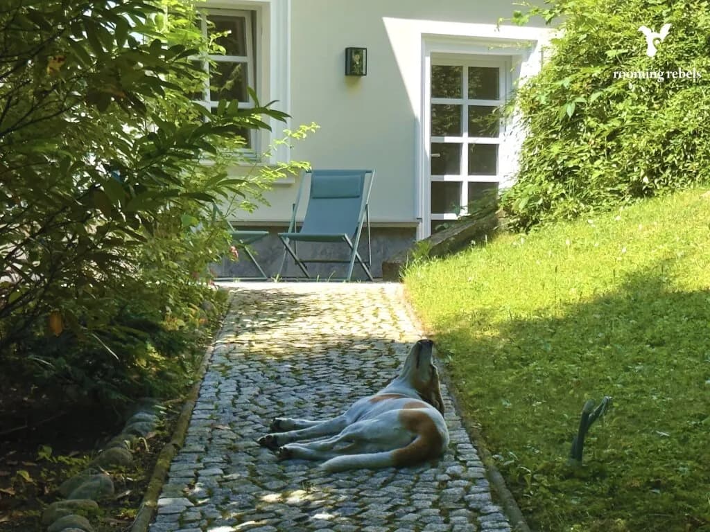 Immobilie kaufen in Wien – 401,5 m², € 2.990.000 – Bild 12 von 27