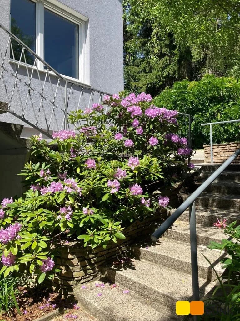 Haus mieten in Tulln – 260 m², € 2.990 – Bild 8 von 56