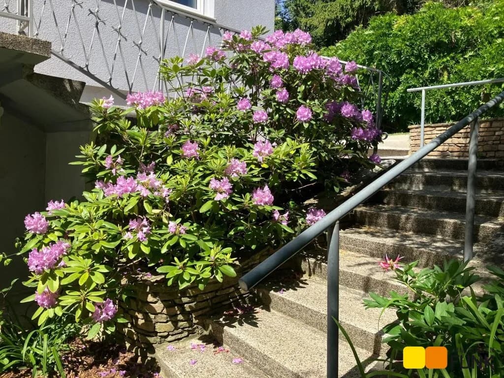 Haus mieten in Tulln – 260 m², € 2.990 – Bild 9 von 56