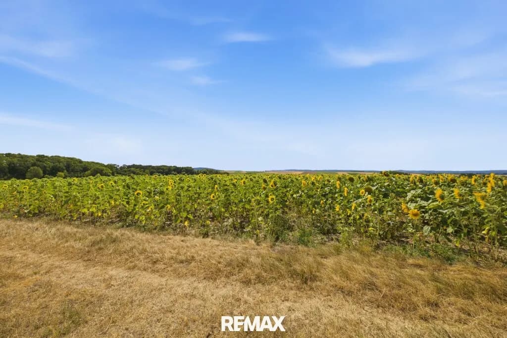 Immobilie kaufen in Korneuburg – 7 926 m², € 75.000
