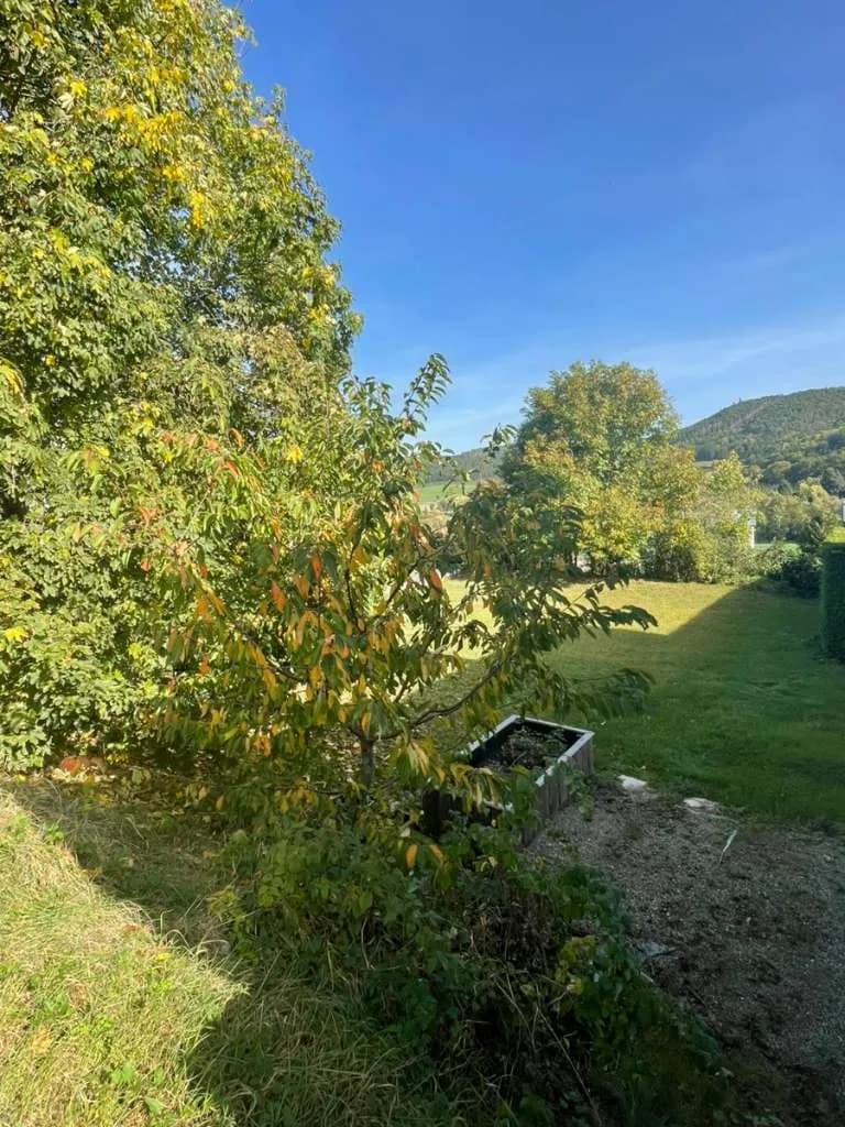 Grundstück kaufen in Krems Land – 688 m², € 149.000 – Bild 2 von 4